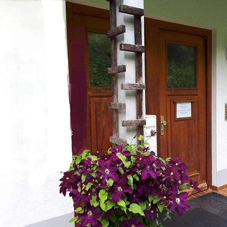 Ferienapartment 38 Sonnenwald Langfurth  Zewnętrze zdjęcie