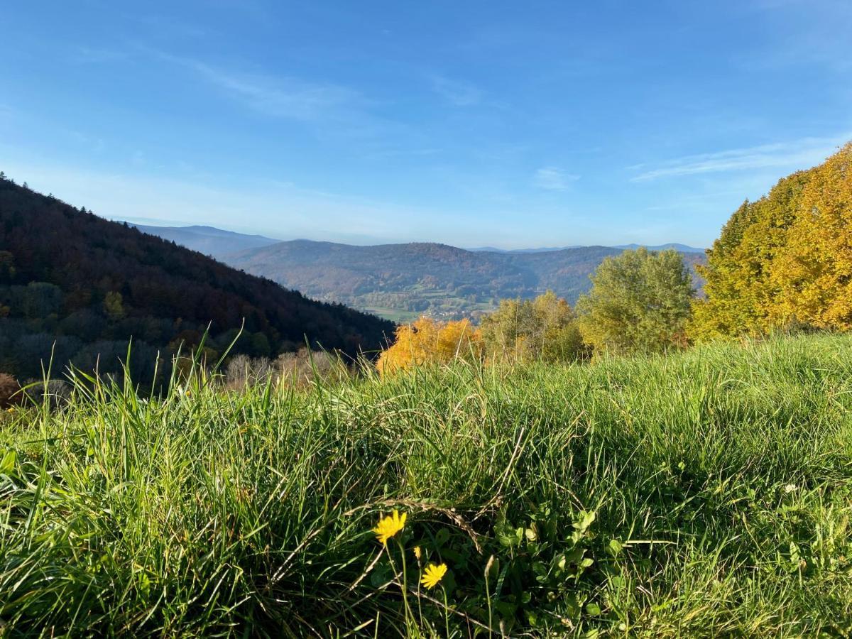 Ferienapartment 38 Sonnenwald Langfurth  Zewnętrze zdjęcie