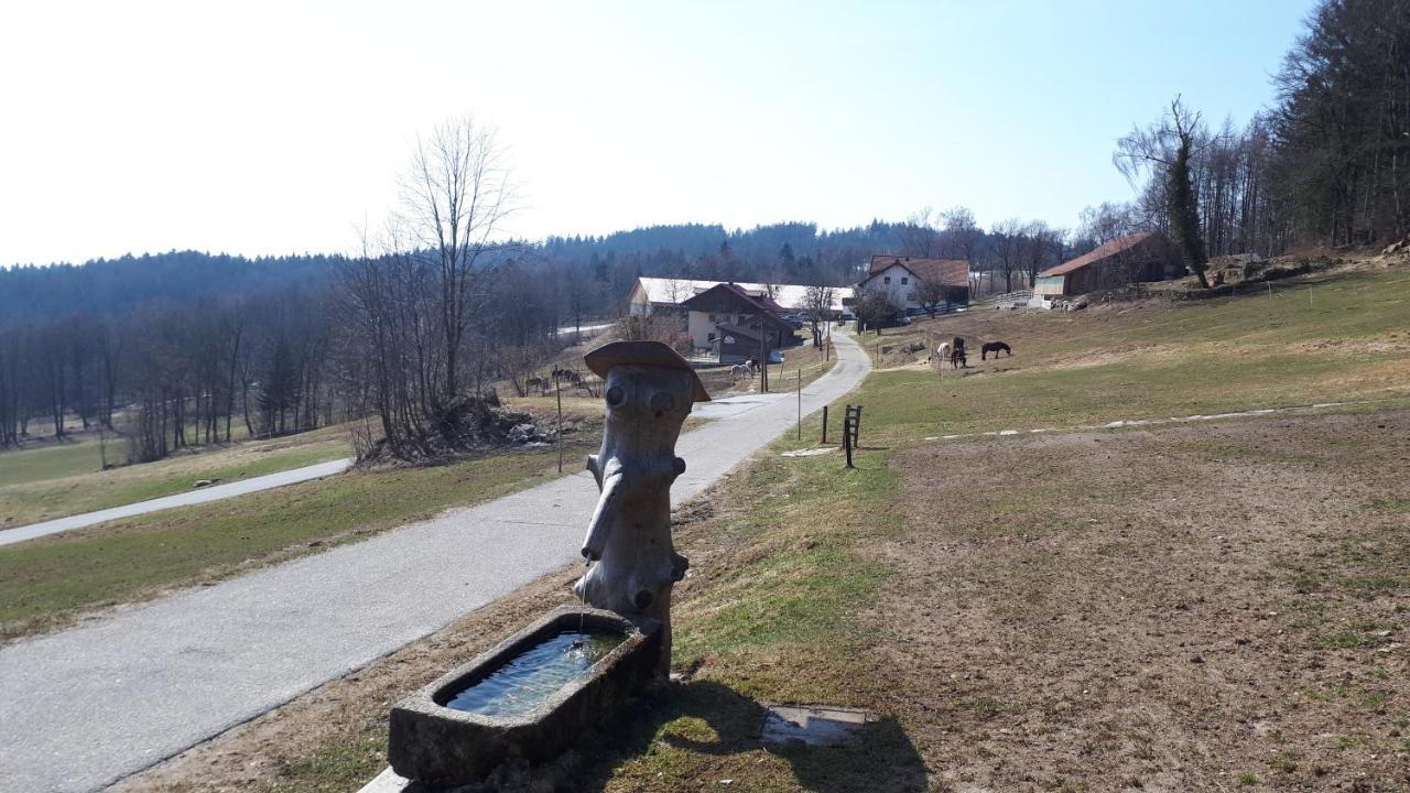 Ferienapartment 38 Sonnenwald Langfurth  Zewnętrze zdjęcie