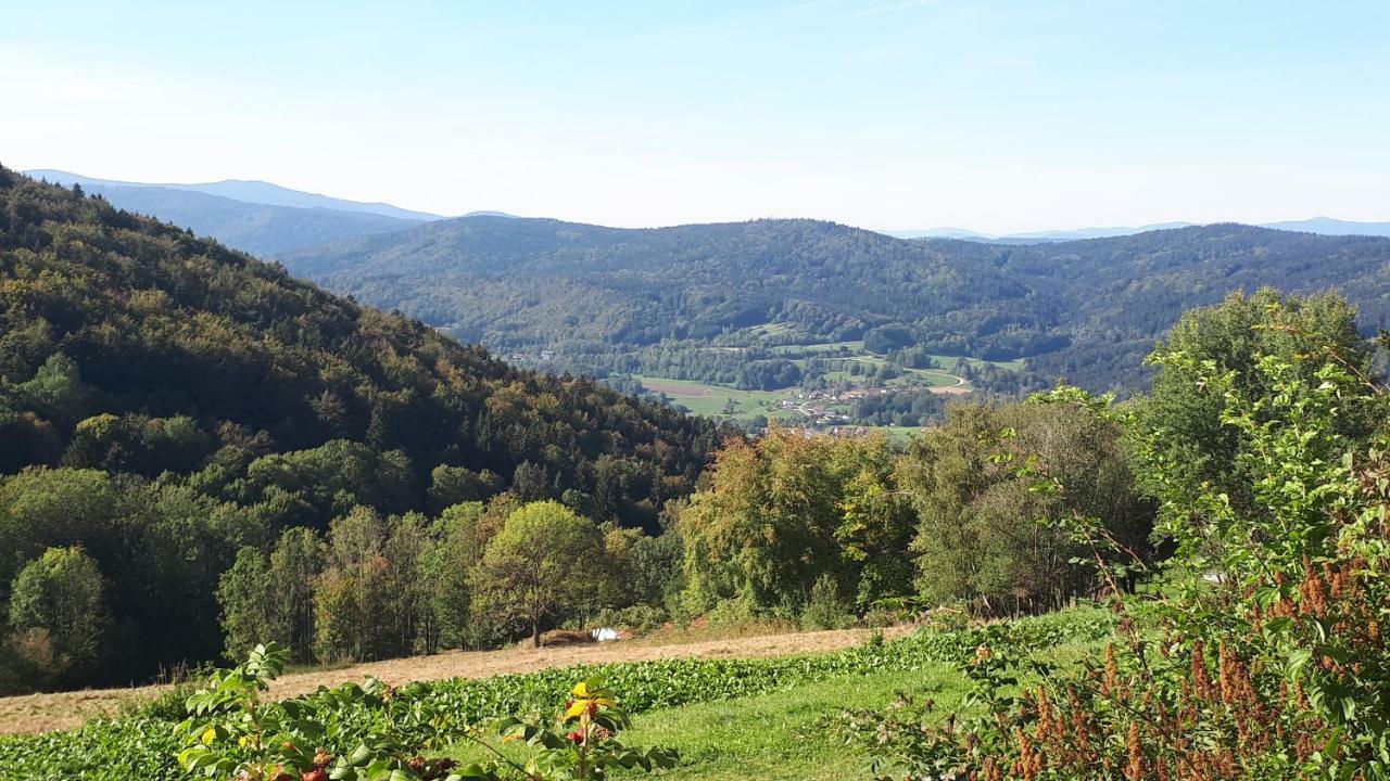 Ferienapartment 38 Sonnenwald Langfurth  Zewnętrze zdjęcie